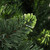  Artificial Pre-lit Christmas Tree with Ball Set Green 59.1 A949-3077796