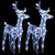 Christmas Reindeers 2 pcs Cold White 80 LEDs Acrylic A949-342679
