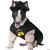 Dj master pet costume x-small N274-MR01CC20121XSM