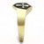 TK3268 - IP Gold(Ion Plating) Stainless Steel Ring with Epoxy  in Jet A874-TK3268