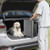 Dog Ramp for Cars, 63" L x 17" W, Folding Pet Ramps for Medium & Large Dogs up to 250lbs, Pet Stair E415-JSHWZDSCWAQP39ZKL001V0