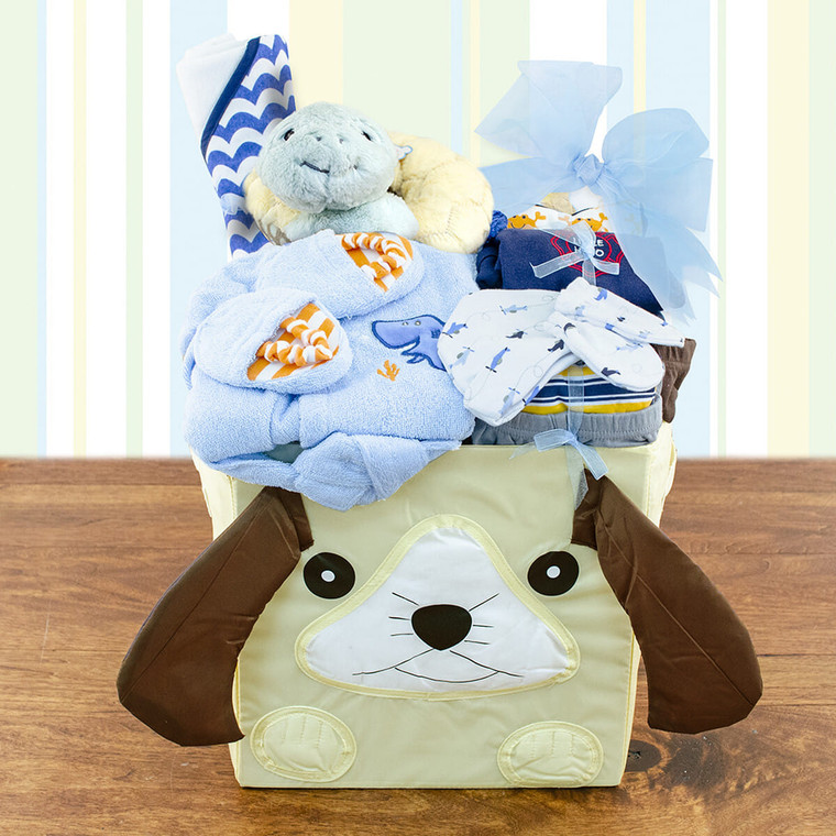 Best Wishes: Baby Boy Gift Basket Z954-CPB-191
