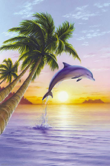 Dolphin Sunrise Q385-2584-24x36_AN