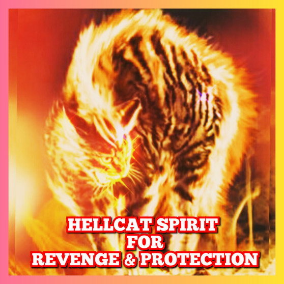 Powerful Hellcat spirit companion for Protection against Curses, Hexes, Black magic