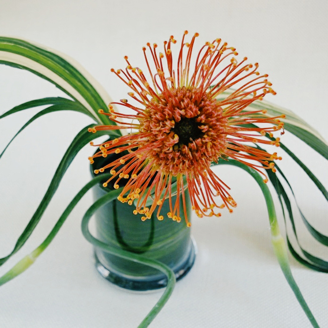 What is Ikebana? Jasmine Pearl Tea Company