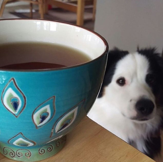 Winner of the #myfavoritemug Contest!