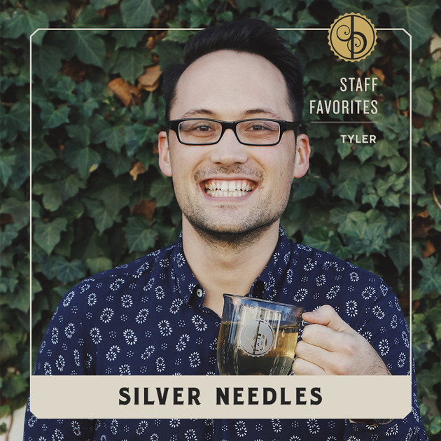 Staff Favorites: Tyler & Silver Needles