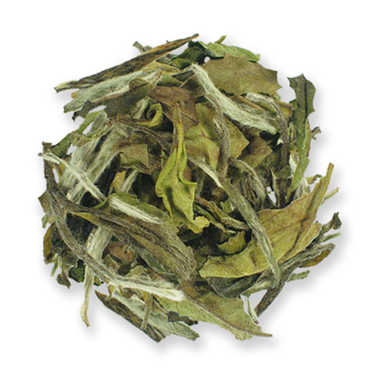 white tea leaf