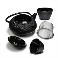 Black Cast Iron Tetsubin Tea Set (18 oz)