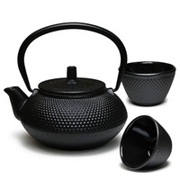 Black Cast Iron Tetsubin Tea Set (18 oz)