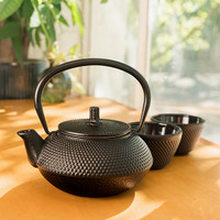 Black Cast Iron Tetsubin Tea Set (18 oz)