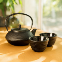 Black Cast Iron Tetsubin Tea Set (18 oz) from The Jasmine Pearl Tea Co.