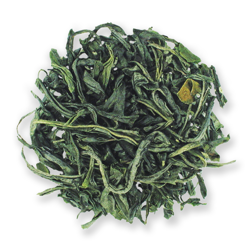 Tranquility Mao Jian loose leaf green tea from The Jasmine Pearl Tea Co.