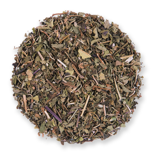 Northwest Mint loose leaf herbal tea from The Jasmine Pearl Tea Co.