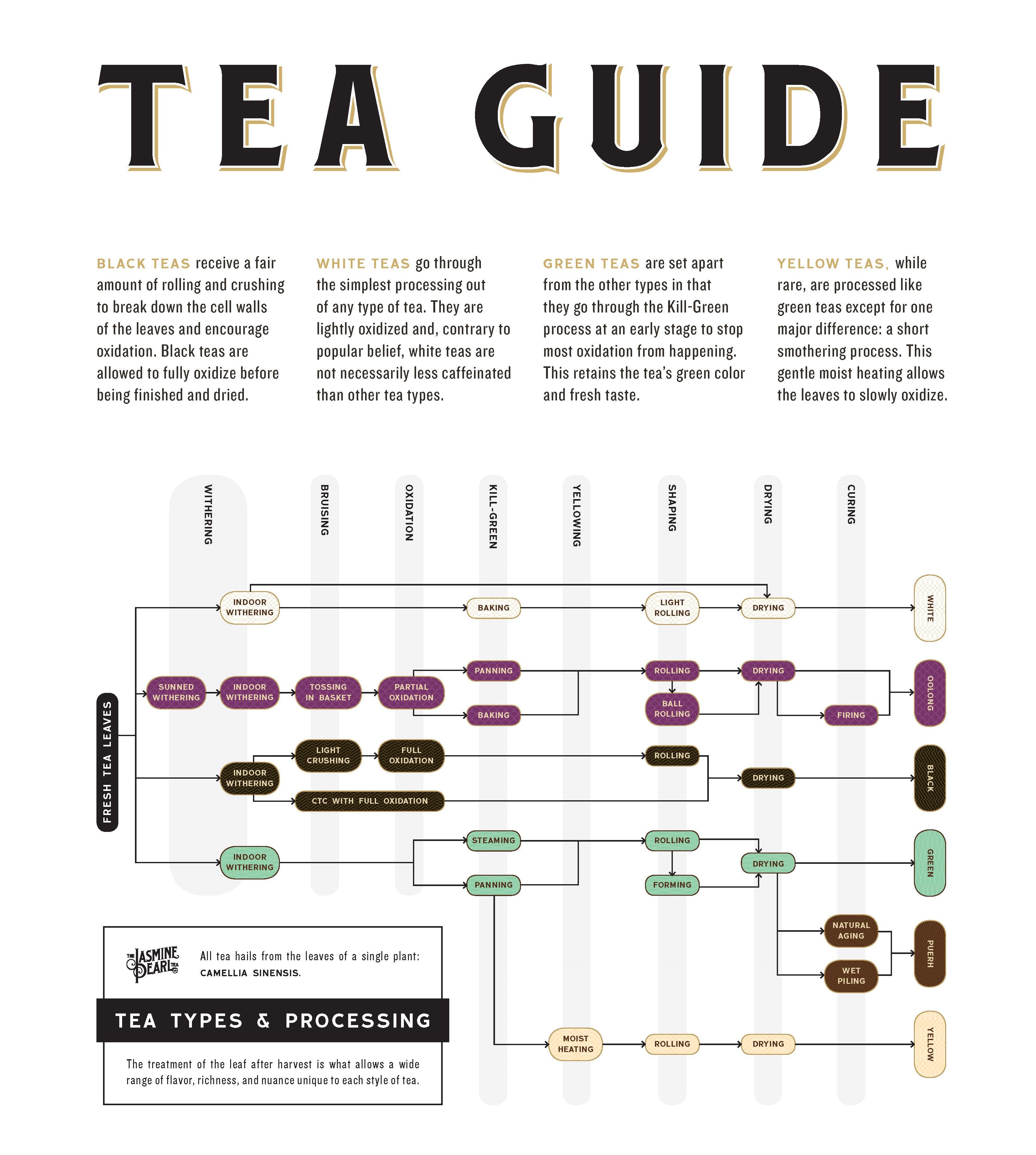 Tea Processing How are different teas made? Jasmine Pearl Tea Company