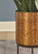 Donisha - Antique Brass Finish - Planter Set (Set of 2)