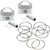 For 74" stock big twin motors
Forged pistons for superior strength
Piston kits include set of pistons, rings, wristpins, and clips
Wrist pin deck height 1.436"
Made in the U.S.A.
Require the use of connecting rods with a rod length of 7.440"(standard length OEM #24281-74A); use of earlier connecting rod with rod length of 7.470"(OEM #24281-41A) will result in a slight increase in the compression ratio of about one-halfpoint, and may also result in clearance problems (check all piston to cylinder head clearances carefully when using early style rods).

FITMENT


1980 Harley-Davidson Electra Glide Sport FLHS

1979-1980 Harley-Davidson 1200 Fat Bob FXEF

1977-1979 Harley-Davidson 1200 Low Rider FXS

1974-1980 Harley-Davidson 1200 Super Glide FXE

1971-1978 Harley-Davidson 1200 Super Glide FX

1965-1980 Harley-Davidson Electra Glide FL

1965-1980 Harley-Davidson 1200 Electra Glide FLH

1958-1964 Harley-Davidson Duo Glide FLH

1958-1964 Harley-Davidson Duo Glide FL

1949-1951, 1953-1957 Harley-Davidson  Hydra Glide FL

1948 Harley-Davidson FL

1941-1947 Harley-Davidson Knucklehead FL

DISCLAIMER

All V-Twin Select parts are selected carefully and priced to include only shipping.

California sales tax applies if you live in the State of California. No other discounts or promotions apply.

All sales are final and no returns or exchanges will be accepted.  This is a SPECIAL BUY Item and quantities are limited.