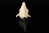 Bull Skull Block Meerschaum Pipe with fitted case 14150