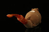 Armadillo Hand Carved Block Meerschaum Pipe Hand Carved with a case 11112