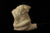 DEVIL TIGER & SNAKE Meerschaum Tobacco Pipe with case 2186