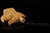 Moon Serenade Block Meerschaum Pipe Carved by Tekin with custom case 13690