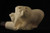 Raccoon Hand Made by R. KARACA  Meerschaum Pipe in a fitted Case 3623 pipa NEW