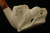 Horse Hand Carved Block Meerschaum Pipe with fitted case 2657r