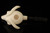 Bull Skull Block Meerschaum Pipe with fitted case 14150