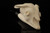Bull Skull Block Meerschaum Pipe with fitted case 14150
