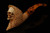 Grim Reaper Block Meerschaum Pipe with fitted case 14416