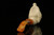 Pirate Block Meerschaum Pipe with fitted case M1302