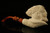 Devil Block Meerschaum Pipe Carved by I. Baglan with CASE 11001