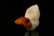 Pirate Block Meerschaum Pipe with fitted case M1368