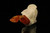 Cavalier Block Meerschaum Pipe with fitted case M1431