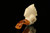 Grim Reaper and Skulls Block Meerschaum Pipe with fitted case M2069