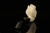 Bison Hand Carved Block Meerschaum Pipe with fitted case M2095