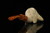 srv - Santa Smoking A Pipe  Self Sitter Block Meerschaum Pipe with fitted case M2184