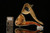 srv - Grim Reaper Block Meerschaum Pipe with fitted case M2246