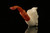 srv - Dolphin Mariner Meerschaum Pipe by I. Baglan with fitted case M2286