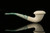 srv - Calabash Block Meerschaum Pipe with case M2296
