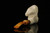 srv - Santa Claus Block Meerschaum Pipe with fitted case M2300