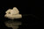Pegasus Block Meerschaum Pipe with custom case M2457