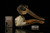 srv - Lion Block Meerschaum Pipe with fitted case M2987