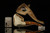 srv - Bear Block Meerschaum Pipe by R. Karaca with fitted case M3055