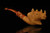 srv - Rhino Block Meerschaum Pipe with custom case M3215