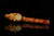 srv - Rhino Block Meerschaum Pipe with custom case M3215