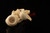 srv Dolphin and Angel by Cevher Block Meerschaum Pipe with case 15374
