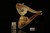 srv - Pirate Block Meerschaum Pipe with fitted case M3293