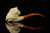 srv - Viking Block Meerschaum Pipe with fitted case M3351