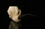 srv - Eagle's Claw Block Meerschaum Pipe with fitted case M3356